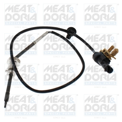 Sensor, exhaust gas temperature